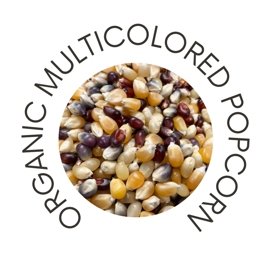 Organic Multicolored Popcorn - Refill